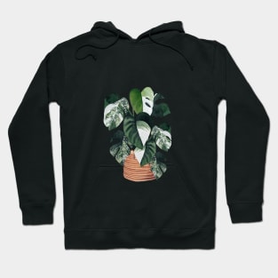 Variegated monstera Hoodie